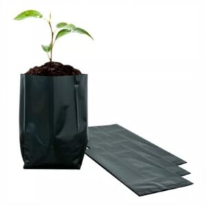Bolsa para Vivero, Cultivo de Plantas Perforada Calibre 600 15x15 cm, 1 Kilo