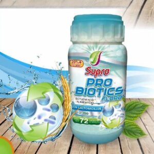 Pro Biotics  Recupera la Flora Intestinal, 72 caps.